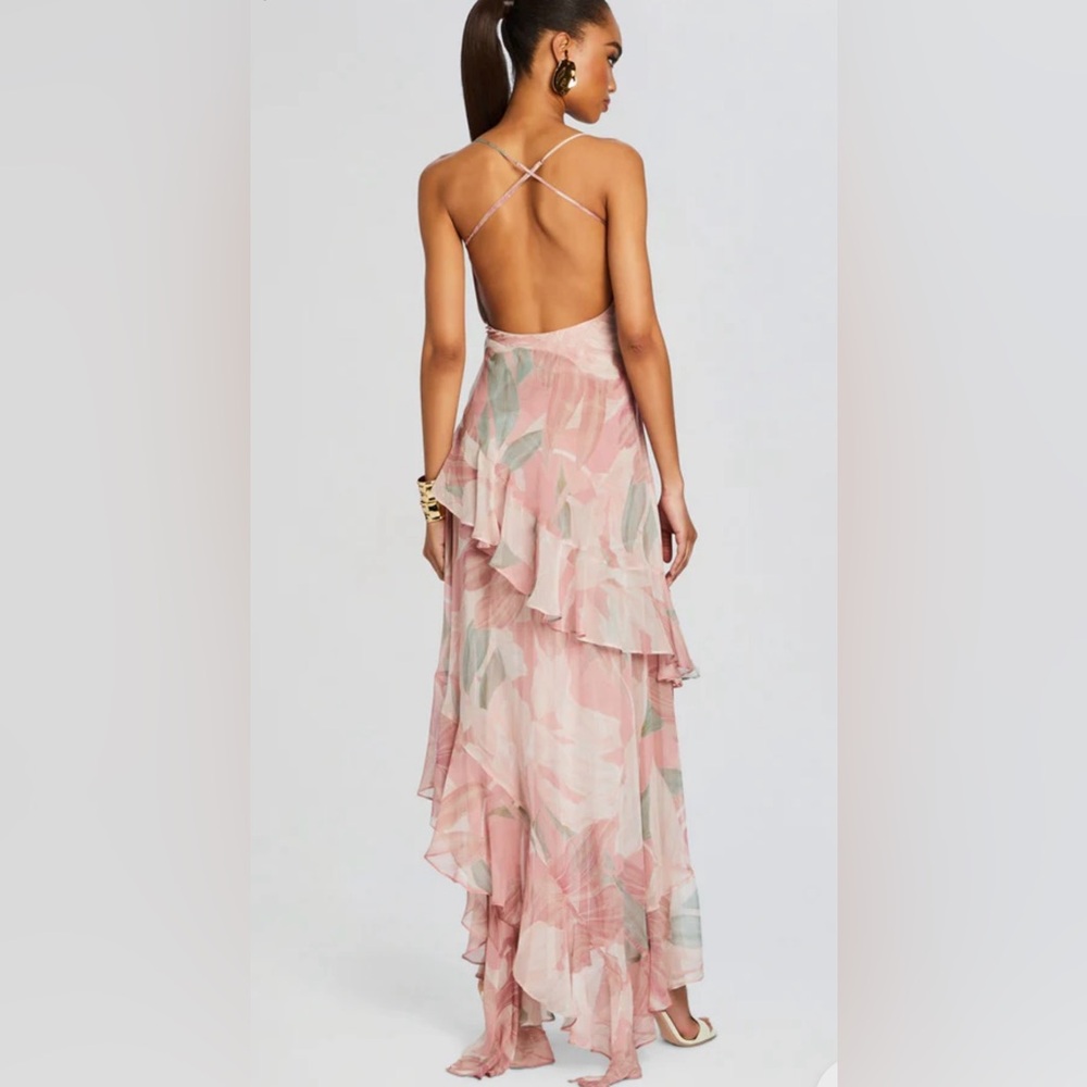 RETROFETE Samara Silk Chiffon Dress Dusty Pink Botanical ⭐️LUXURY PREMIUM⭐️ NWT - Picture 2 of 13